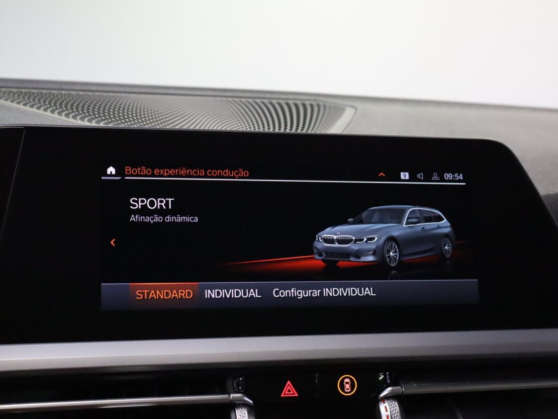 BMW Serie 3 318d Auto Advantage 16