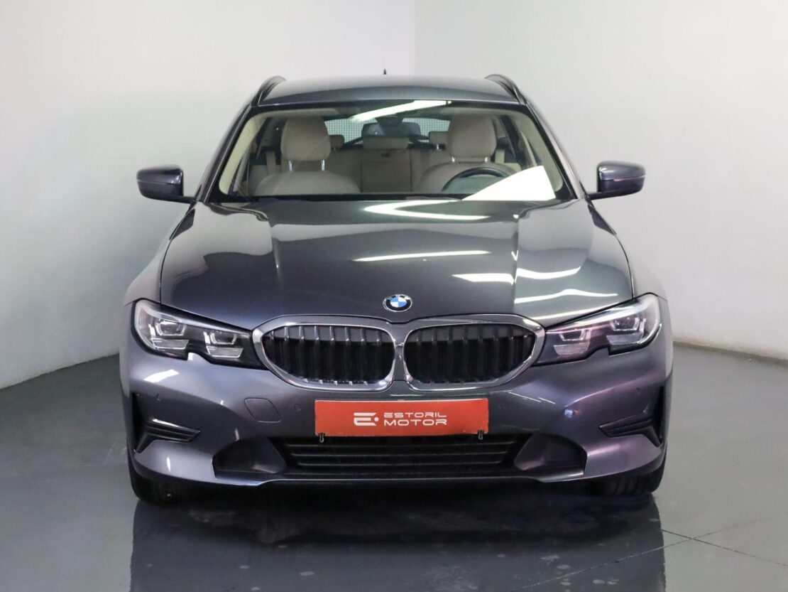 BMW Serie 3 318d Auto Advantage 2