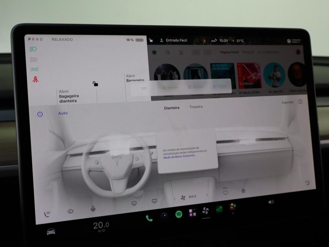 Tesla Model Y Performance Dual Motor AWD 21