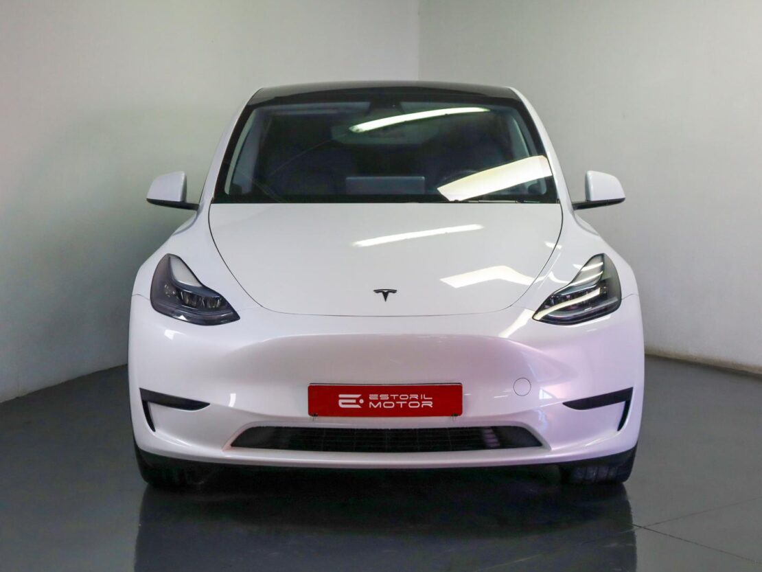 Tesla Model Y Performance Dual Motor AWD 2