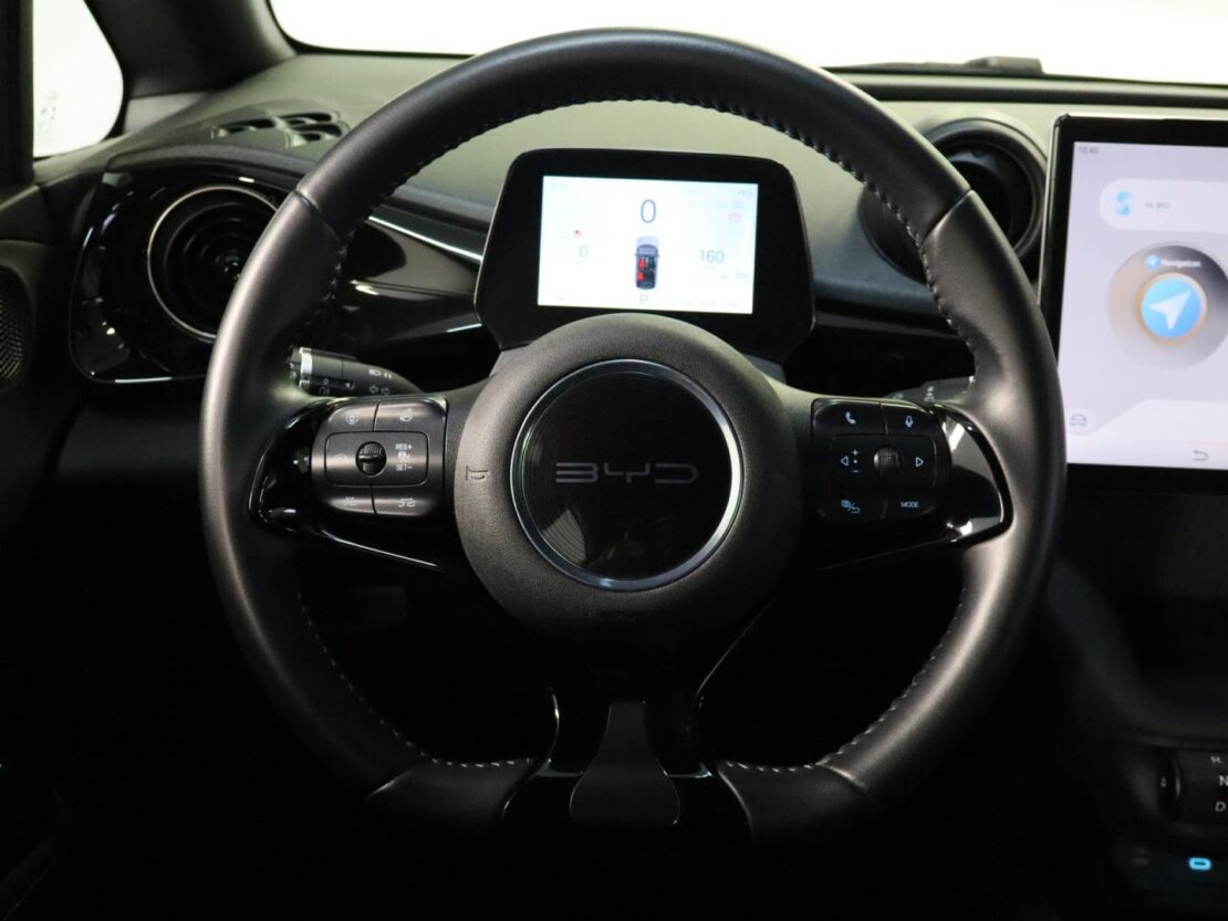 BYD DOLPHIN Comfort 12